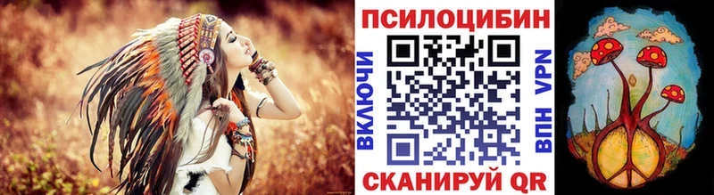 hydra ссылки  Джанкой  Псилоцибиновые грибы Psilocybe 