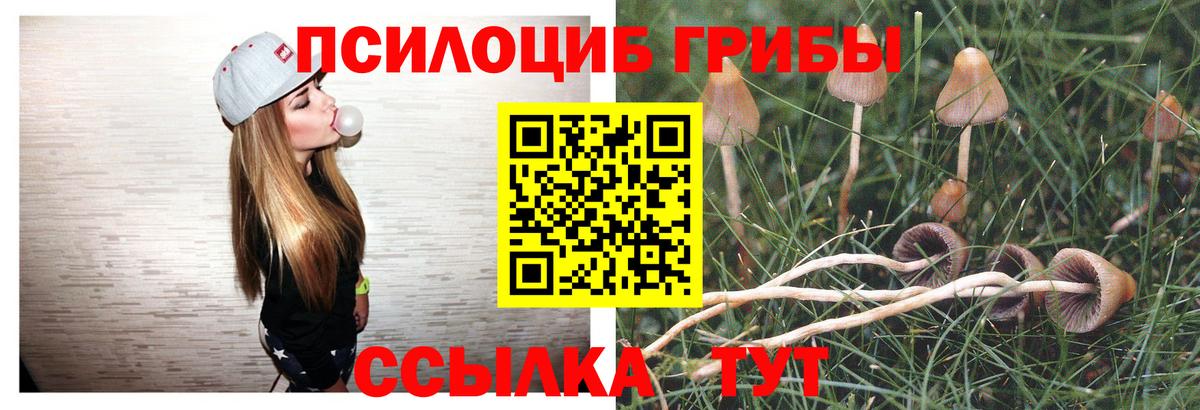 Галлюциногенные грибы Psilocybe Джанкой